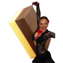 Application Sponge